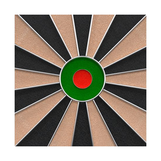 Мишень для дартса DFC SISAL