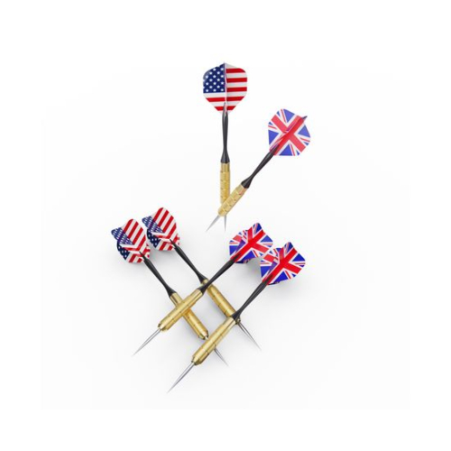 Дартс DFC двусторонний 43 см, 6 дротиков