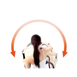 Тренажер YOWZA 2 в 1 эллипсоид/велотренажер с вращением торса NAPLES ELITE