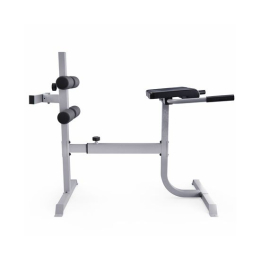 Гиперэкстензия / римский стул DFC CAP, серебряный