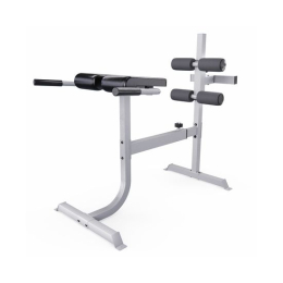 Гиперэкстензия / римский стул DFC CAP, серебряный