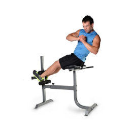 Гиперэкстензия / римский стул DFC CAP, серебряный