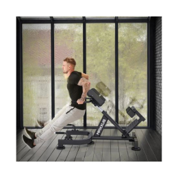 Гиперэкстензия / римский стул DFC MAXXUS