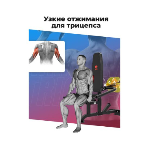 Тренажер для бицепса и трицепса DFC D2003A