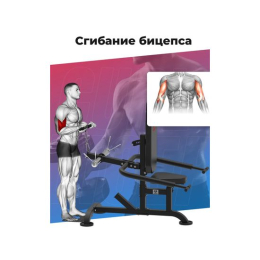 Тренажер для бицепса и трицепса DFC D2003A