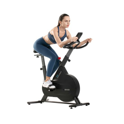 Спин-байк DFC OVICX Q101C
