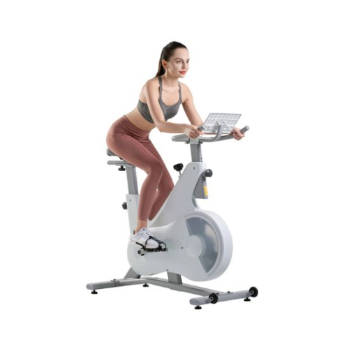 Спин-байк DFC OVICX B-Q210W