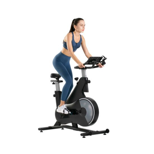 Спин-байк DFC OVICX B-Q210B