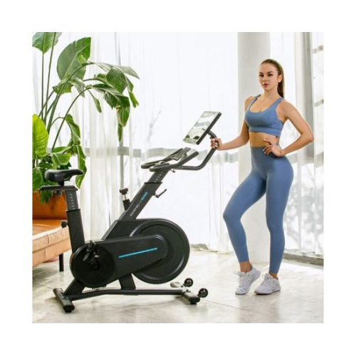 Спин-байк DFC OVICX B-Q200X