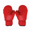 Груша боксерская DFC BOXING STAND SQ-BS001 на присосках, с перчатками и насосом
