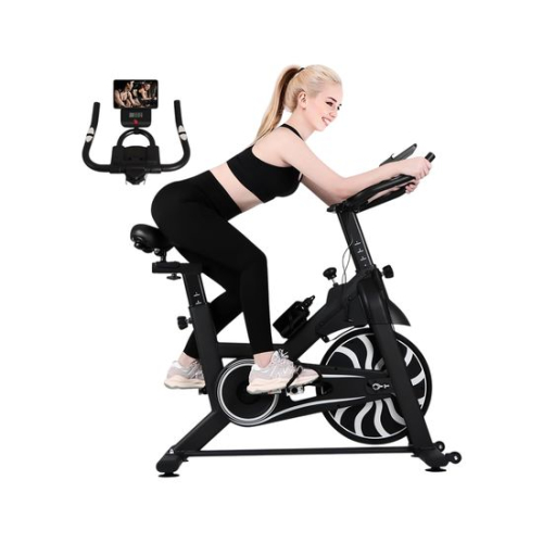 Спин-байк DFC PANANA / инерционный маховик 10 кг