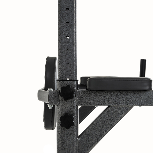 Турник-брусья DFC G-series с прямой скамьей с валиками