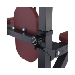 Турник-брусья DFC Power Tower G009B