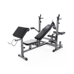 Скамья со стойками под штангу DFC GYRONETICS GN008 с партой для бицепса