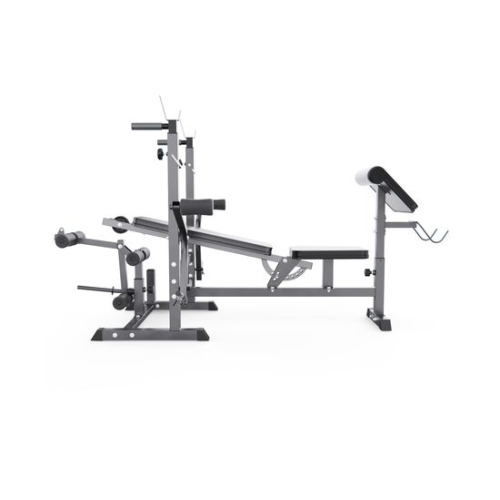Скамья со стойками под штангу DFC GYRONETICS GN008 с партой для бицепса