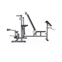 Скамья со стойками под штангу DFC GYRONETICS GN008 с партой для бицепса