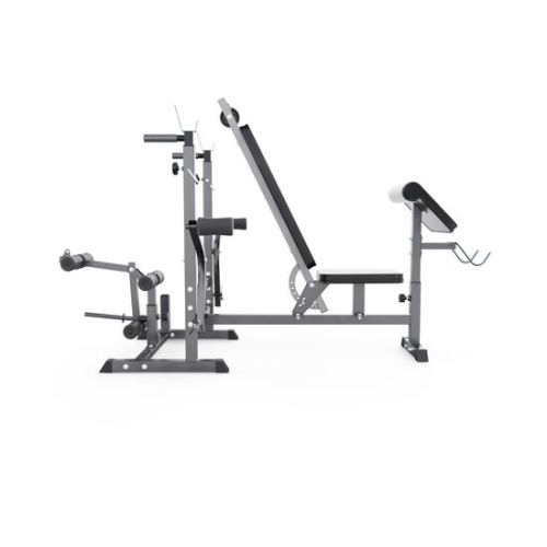 Скамья со стойками под штангу DFC GYRONETICS GN008 с партой для бицепса