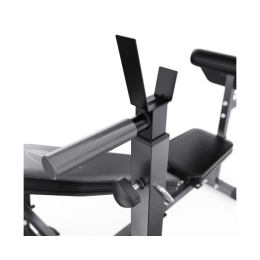 Скамья со стойками под штангу DFC GYRONETICS GN008 с партой для бицепса