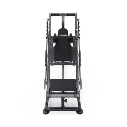 Гакк-машина/Жим ногами MAXXUS GSMX-6