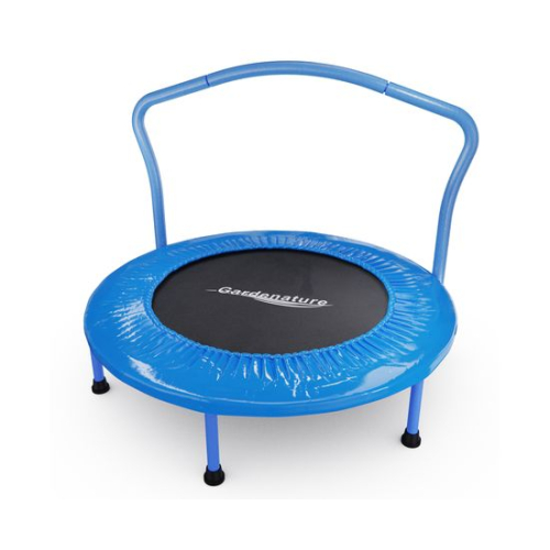 Батут с поручнем DFC Gardenature 36'' синий