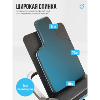 Жим ногами/Гакк-присед OXYGEN FITNESS HADLEY
