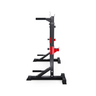 Стойка под штангу с брусьями 3 в 1 DFC AKYEN