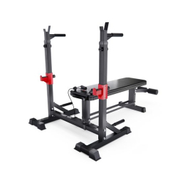 Прямая скамья со стойками под штангу DFC AKYEN