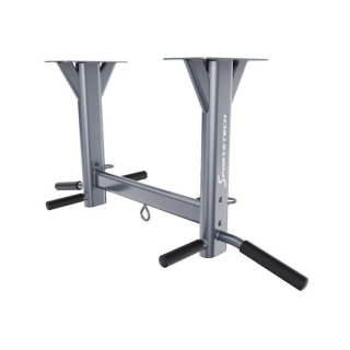 Турник потолочный DFC SPORTSTECH KS400