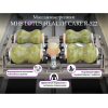 Массажная кровать MHS LOTUS HEALTHCARE R-522