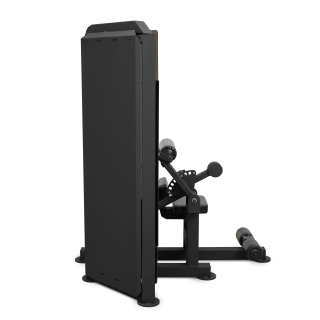 Пресс-машина профессиональный BRONZE GYM PARTNER ML-812