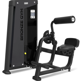 Разгибание спины профессиональное BRONZE GYM NEO 31