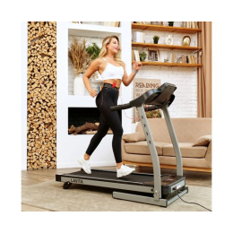 Беговая дорожка DFC LAVITA T350