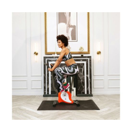 Велотренажер DFC B8005