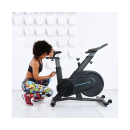 Спин-байк DFC OVICX Q200