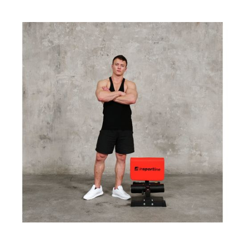 Тренажер для приседаний DFC INSPORTLINE