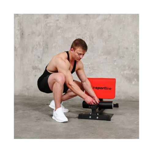 Тренажер для приседаний DFC INSPORTLINE