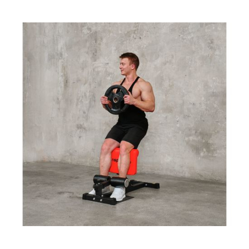 Тренажер для приседаний DFC INSPORTLINE