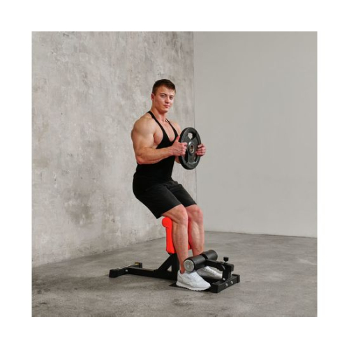 Тренажер для приседаний DFC INSPORTLINE