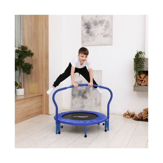 Батут с поручнем DFC Gardenature 36'' синий