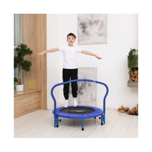 Батут с поручнем DFC Gardenature 36'' синий