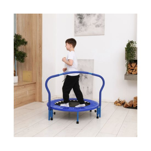 Батут с поручнем DFC Gardenature 36'' синий