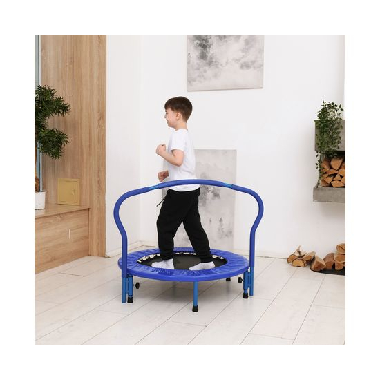 Батут с поручнем DFC Gardenature 36'' синий