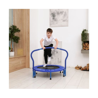 Батут с поручнем DFC Gardenature 36'' синий