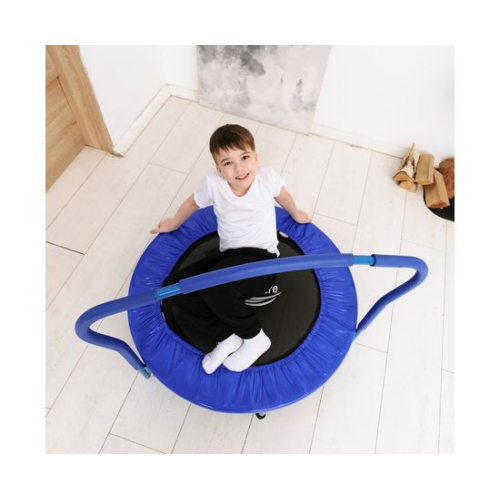 Батут с поручнем DFC Gardenature 36'' синий