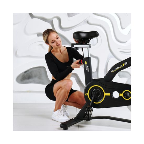 Cпин-байк DFC CHAOKE CK-2