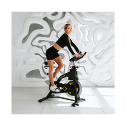 Cпин-байк DFC CHAOKE CK-2