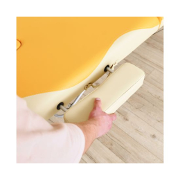 Массажный стол DFC NIRVANA Elegant PREMIUM, цвет оранжево-бежевый