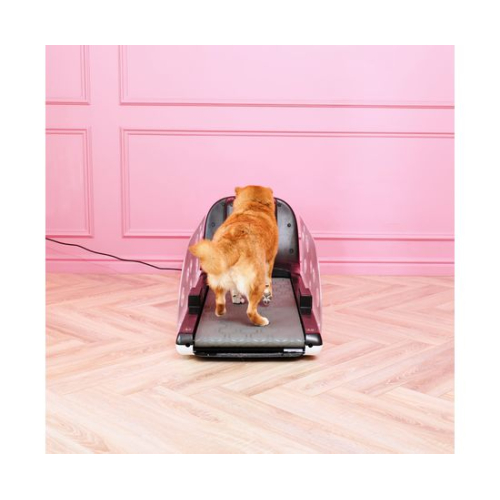 Беговая дорожка Yesoul для собак