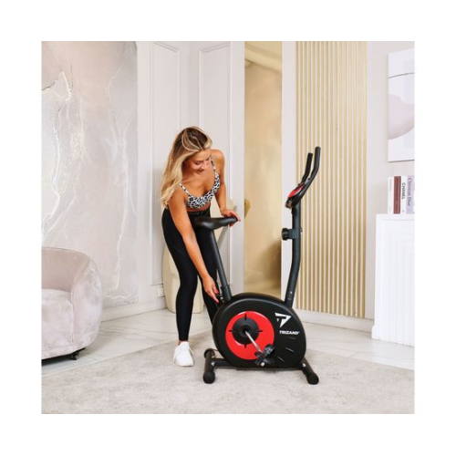 Велотренажер DFC Trizand