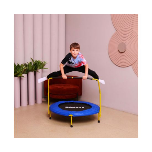 Батут с поручнем DFC AVENOR 36"